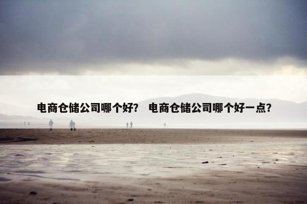 电商仓储公司哪个好？ 电商仓储公司哪个好一点？