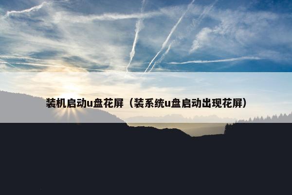 装机启动u盘花屏（装系统u盘启动出现花屏）