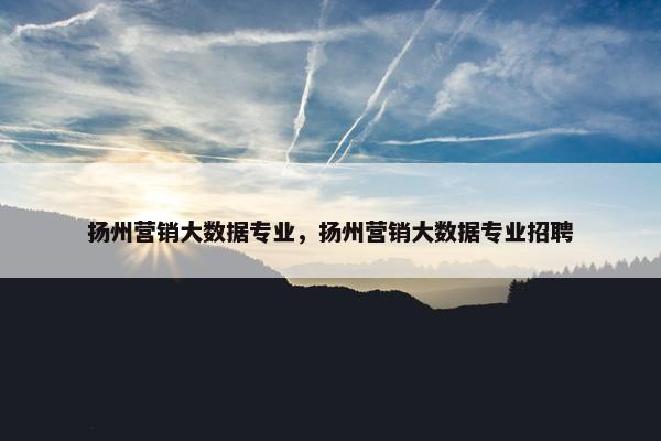 扬州营销大数据专业，扬州营销大数据专业招聘