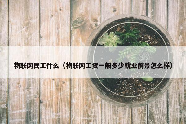 物联网民工什么（物联网工资一般多少就业前景怎么样）