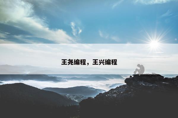 王尧编程，王兴编程