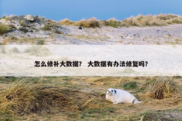 怎么修补大数据？ 大数据有办法修复吗？