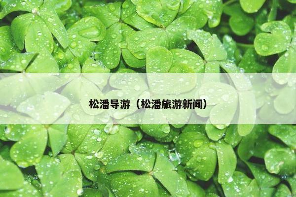 松潘导游（松潘旅游新闻）