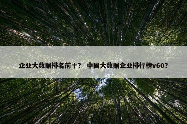 企业大数据排名前十？ 中国大数据企业排行榜v60？