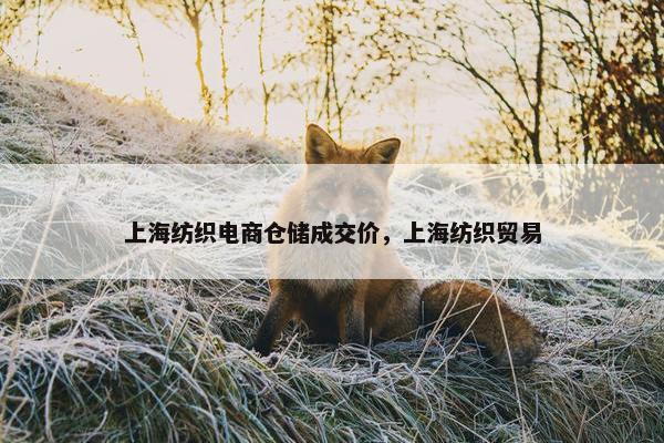 上海纺织电商仓储成交价，上海纺织贸易