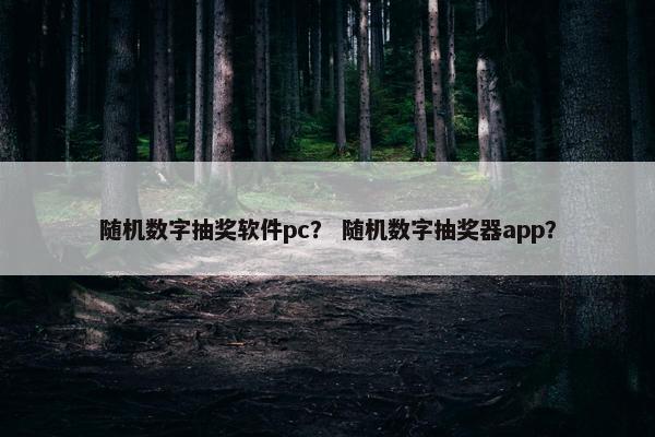 随机数字抽奖软件pc？ 随机数字抽奖器app？