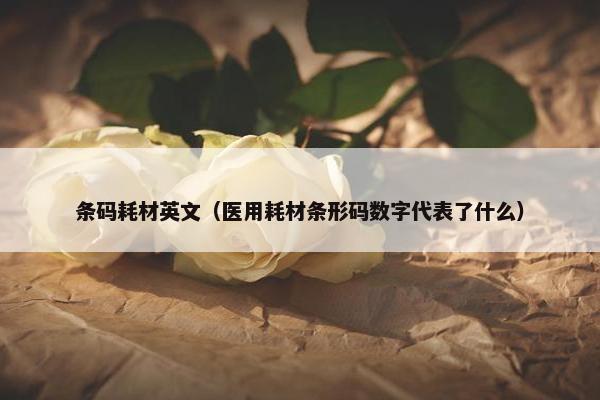 条码耗材英文（医用耗材条形码数字代表了什么）