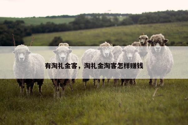 有淘礼金客，淘礼金淘客怎样赚钱