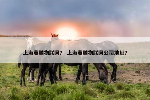 上海麦腾物联网？ 上海麦腾物联网公司地址？
