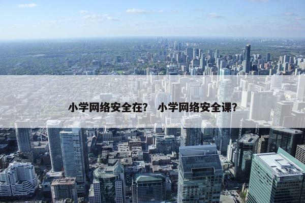 小学网络安全在？ 小学网络安全课？