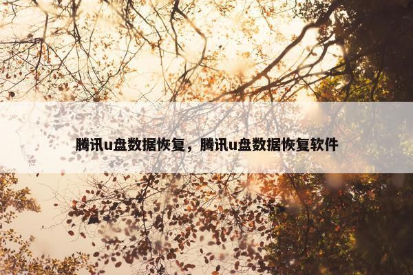 腾讯u盘数据恢复，腾讯u盘数据恢复软件