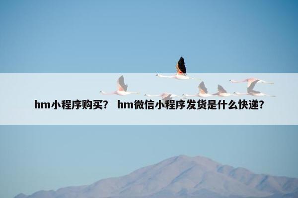 hm小程序购买？ hm微信小程序发货是什么快递？