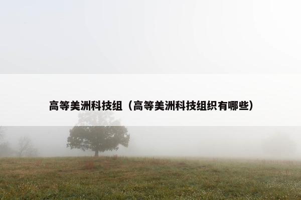 高等美洲科技组（高等美洲科技组织有哪些）
