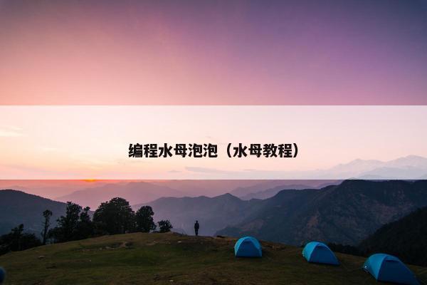 编程水母泡泡（水母教程）