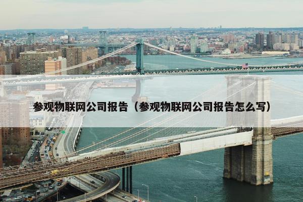 参观物联网公司报告（参观物联网公司报告怎么写）