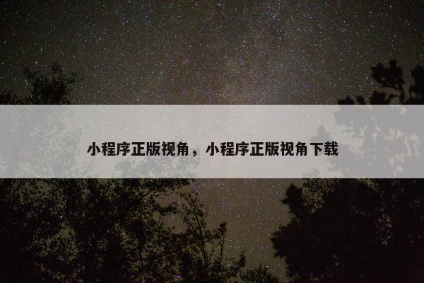 小程序正版视角，小程序正版视角下载
