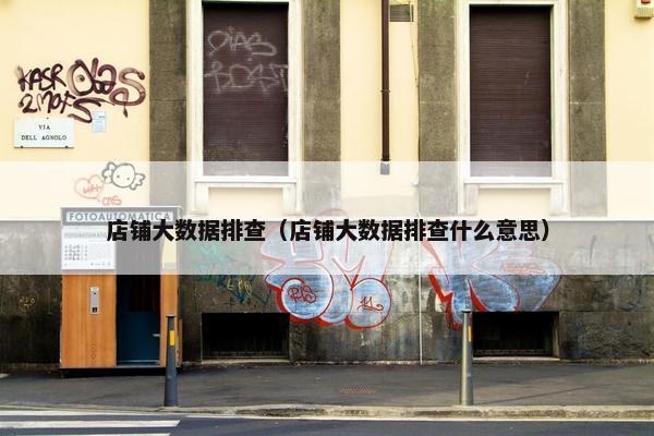 店铺大数据排查（店铺大数据排查什么意思）