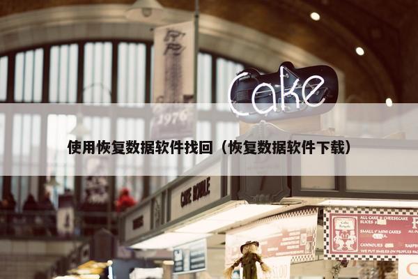 使用恢复数据软件找回（恢复数据软件下载）