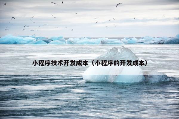 小程序技术开发成本（小程序的开发成本）