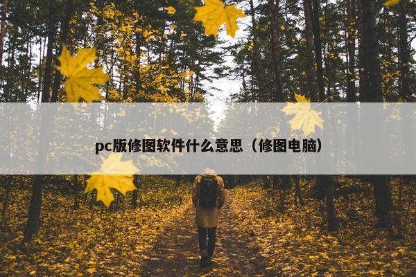 pc版修图软件什么意思（修图电脑）
