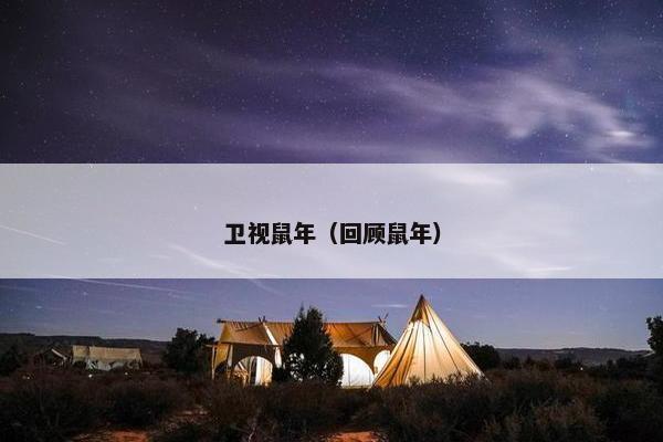 卫视鼠年（回顾鼠年）