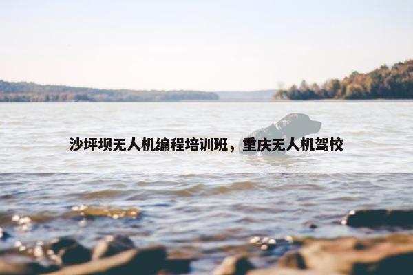 沙坪坝无人机编程培训班，重庆无人机驾校