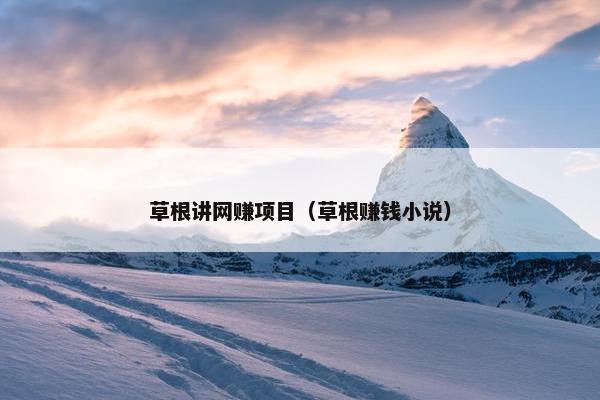 草根讲网赚项目（草根赚钱小说）