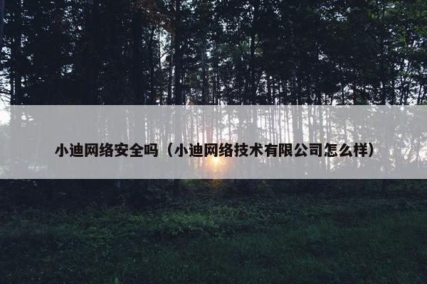 小迪网络安全吗（小迪网络技术有限公司怎么样）