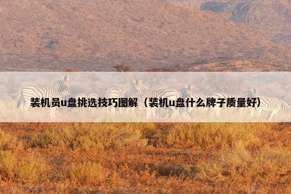 装机员u盘挑选技巧图解（装机u盘什么牌子质量好）