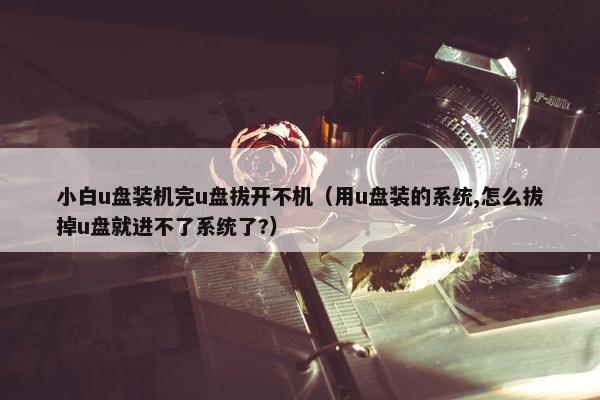 小白u盘装机完u盘拔开不机（用u盘装的系统,怎么拔掉u盘就进不了系统了?）