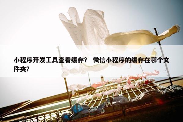 小程序开发工具查看缓存？ 微信小程序的缓存在哪个文件夹？
