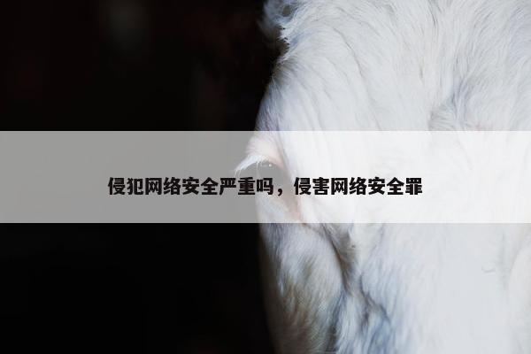 侵犯网络安全严重吗，侵害网络安全罪