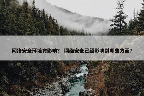 网络安全环境有影响？ 网络安全已经影响到哪些方面？