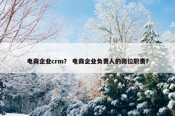 电商企业crm？ 电商企业负责人的岗位职责？