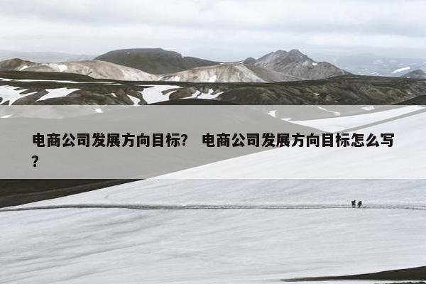 电商公司发展方向目标？ 电商公司发展方向目标怎么写？