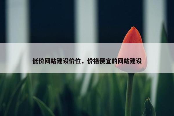 低价网站建设价位，价格便宜的网站建设