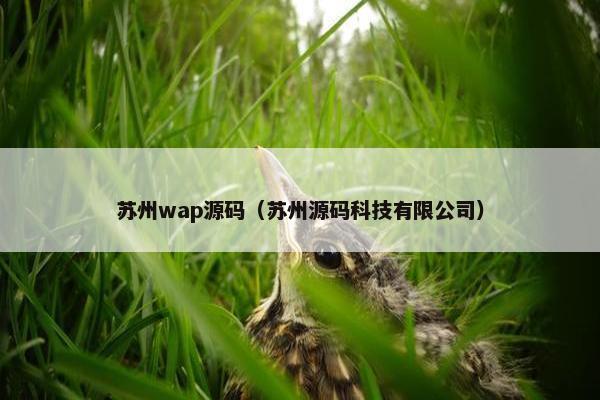 苏州wap源码（苏州源码科技有限公司）