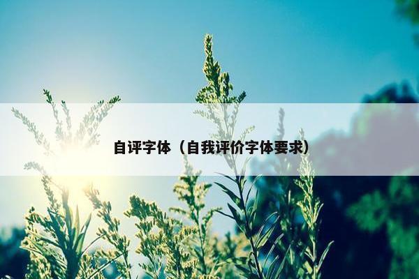 自评字体（自我评价字体要求）