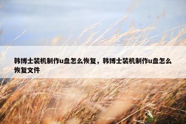 韩博士装机制作u盘怎么恢复，韩博士装机制作u盘怎么恢复文件