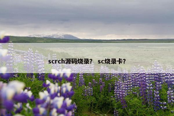 scrch源码烧录？ sc烧录卡？