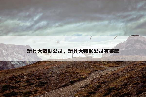 玩具大数据公司，玩具大数据公司有哪些