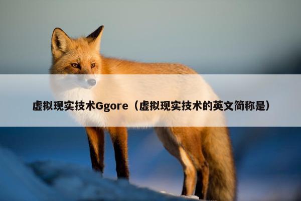 虚拟现实技术Ggore（虚拟现实技术的英文简称是）
