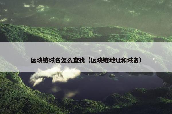 区块链域名怎么查找（区块链地址和域名）
