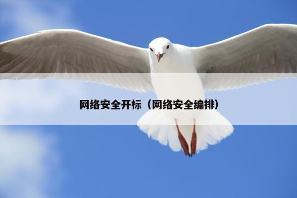 网络安全开标（网络安全编排）