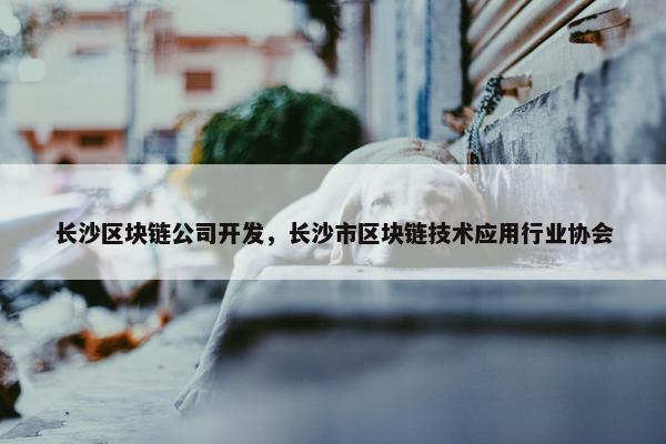 长沙区块链公司开发，长沙市区块链技术应用行业协会