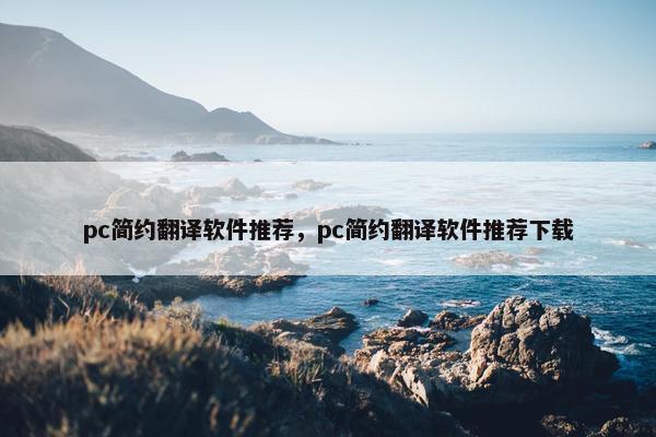 pc简约翻译软件推荐，pc简约翻译软件推荐下载