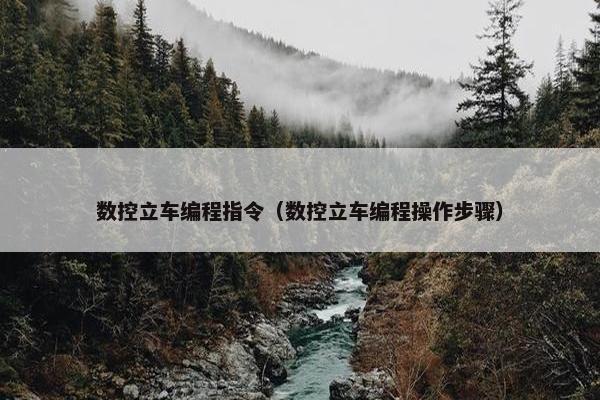 数控立车编程指令（数控立车编程操作步骤）