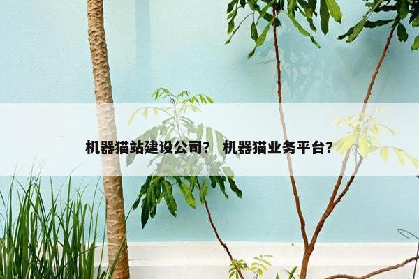机器猫站建设公司？ 机器猫业务平台？