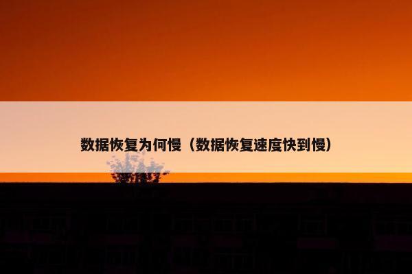 数据恢复为何慢（数据恢复速度快到慢）