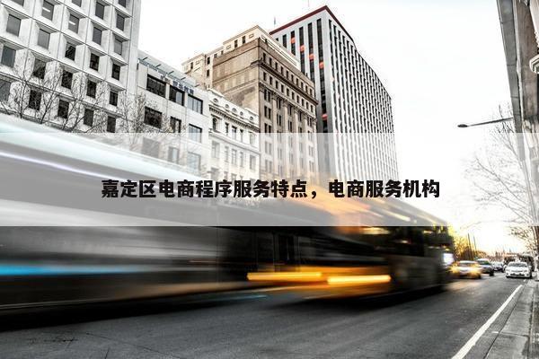嘉定区电商程序服务特点，电商服务机构